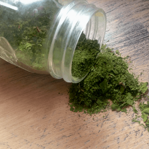Mason jar tipped on side with green powder spilling out