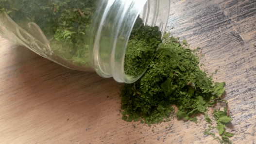 Mason jar tipped on side with green powder spilling out