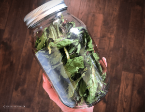 Hand holding a jar of dried greens