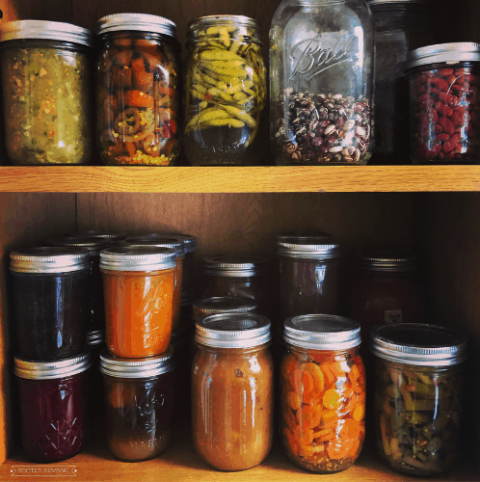 Home Canning 101: How to get started right! 2024 - Rooted Revival