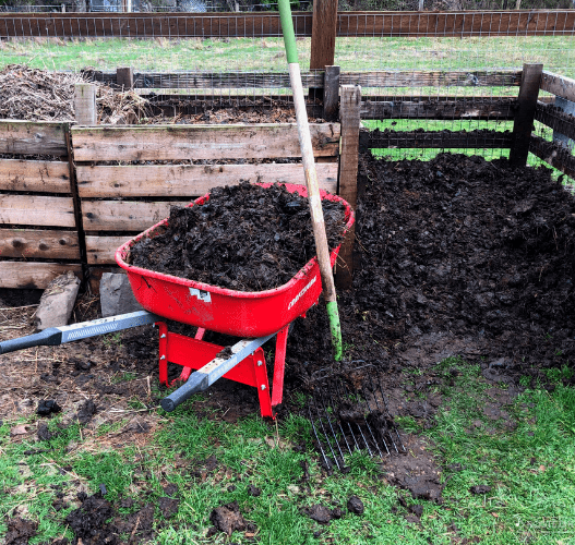 A red wheelbarrow full of compost sitting in front of a 3-bin composter