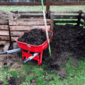 A red wheelbarrow full of compost sitting in front of a 3-bin composter