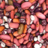 A colorful assortment of dried beans