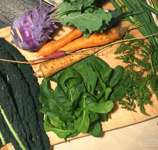 A wood cutting board loaded with dark leafy greens, kale, carrots, kohlrabi and green onions