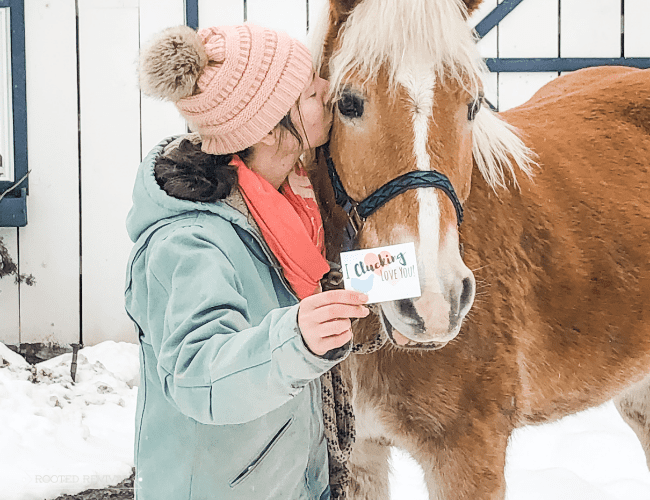 A woman in a heavy light blue work coat and pink woven beanie kisses a chestnut haflinger horse and holds up a small card reading "I clucking love you"