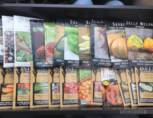 Many seed packets are arranged into two long horizontal rows.