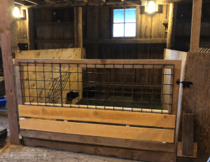 A small animal pen built inside a barn. There is a large door to enter the pen and an empty hay feeder on the left wall. There are lights and a window on the back wall.