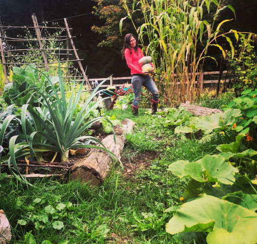 A woman in a pink shirt is standing between rows of lush garden beds holding large blue squash in her arms