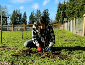 A woman (Kaylee) in a flannel shirt kneels as she plants a small shrub in the ground of a green pasture