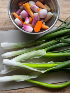 Large green onions lay on a cutting board next to a bowl full of radishes and carrots.