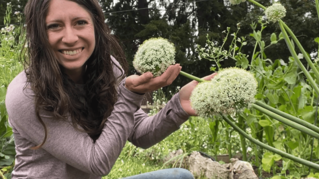 Kaylee sits in the garden and cups giant round onion blossoms in her hands. She is wearing a light pink shirt and blue jeans.