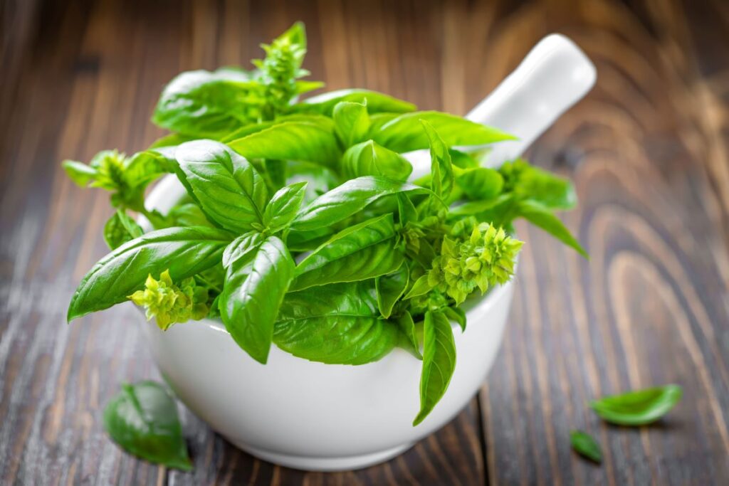 A white bowl of basil leaves on a wooden table