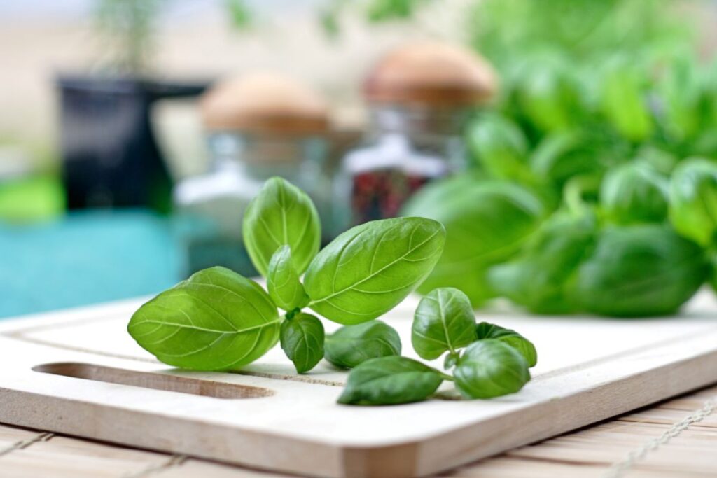 Sprigs of basil on a chopping board