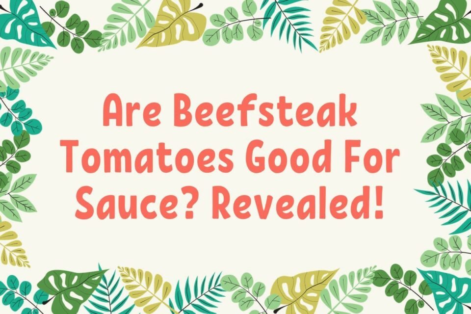 Are Beefsteak Tomatoes Good For Sauce? Revealed 2024 Rooted Revival