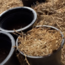 potatoes in a bag with straw