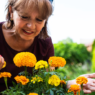 Marigolds Mystery: Your Garden's Hidden Treasure