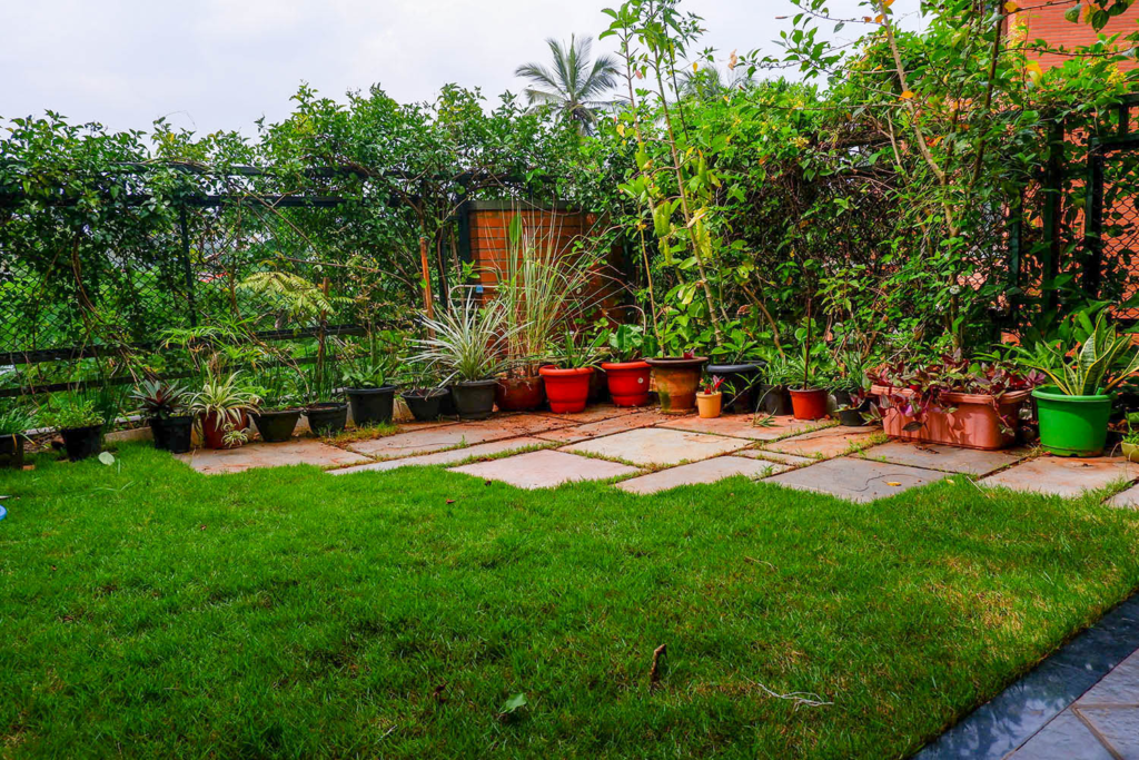 terrace garden