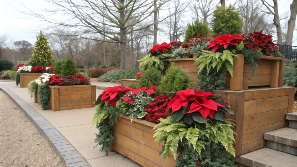 DIY poinsettia planters