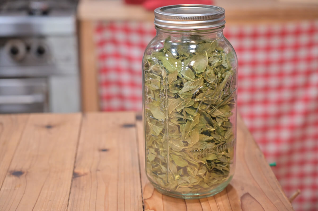 Drying herbs