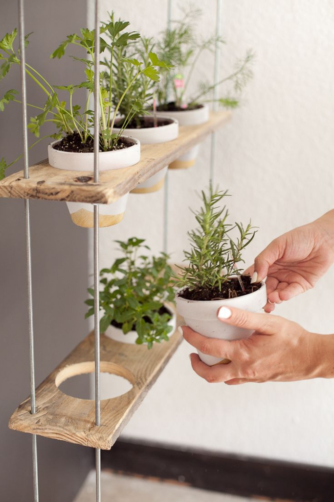 hanging pots with mint and thyme