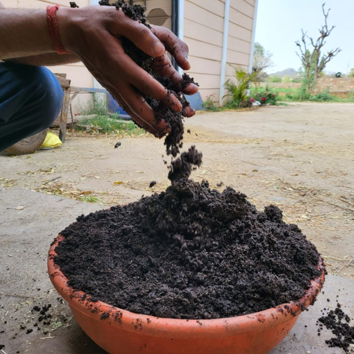 Vermicompost for Plants: Step-by-Step Guide