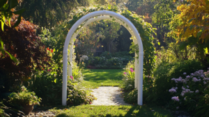 5 DIY Garden Arch Ideas You Can Build This Weekend 2025 - Rooted Revival