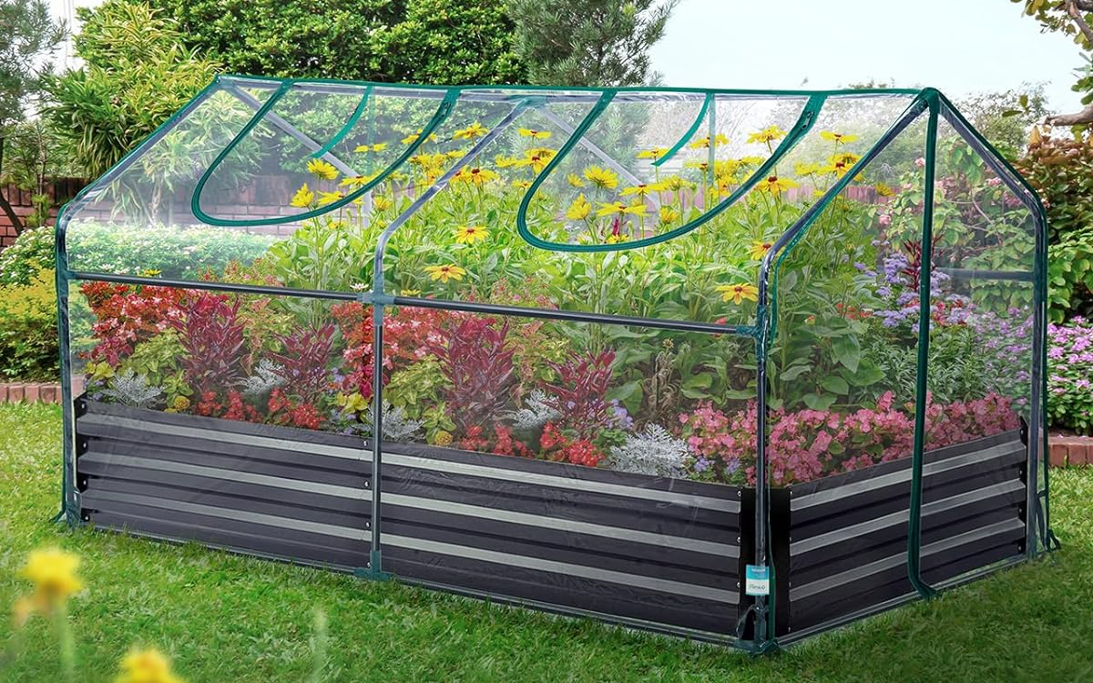 Portable Mini Cloche Greenhouse