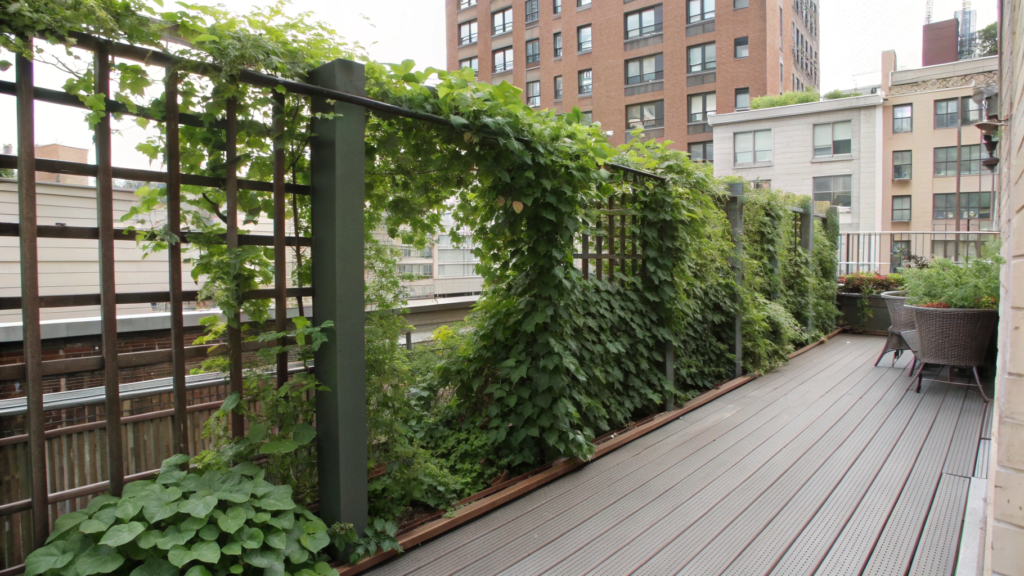 Vine-Covered Trellis Fence for Urban Decks