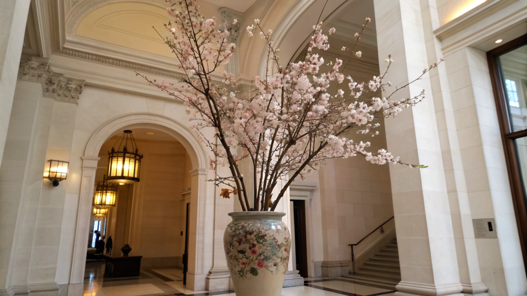 Tall Vase Cherry Blossom Branch Statement