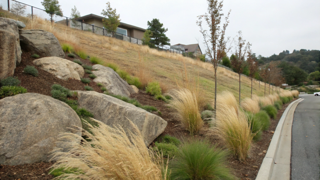 Boulder Accent Line With Low Water Grasses