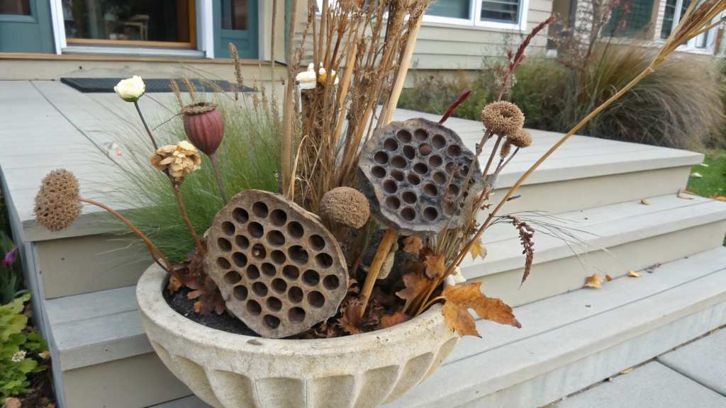 Front Porch Planter With Seed Pods